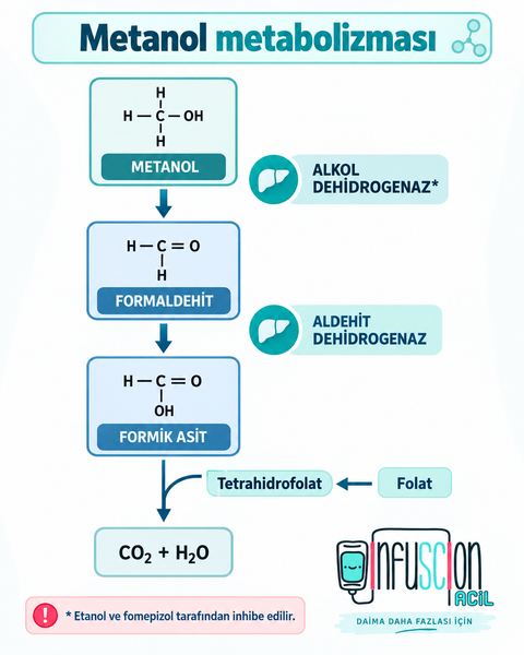 Metanol Metabolizması