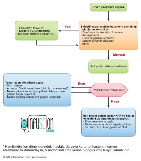 AHA: Yetişkin Yabancı Cisim Obstrüksiyon Algoritması