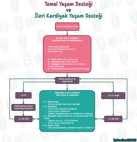 Temel Yaşam Desteği ve İleri Kardiyak Yaşam Desteği