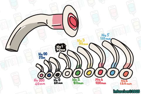 Oral Airway ve Renkleri
