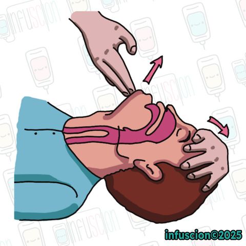 Baş Geri-Çene Yukarı (head-tilt) Manevrası